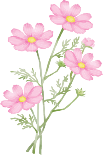 ピンクの花