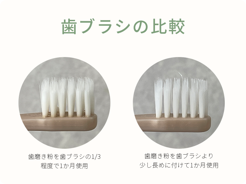歯ブラシの比較