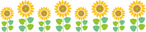 ひまわり