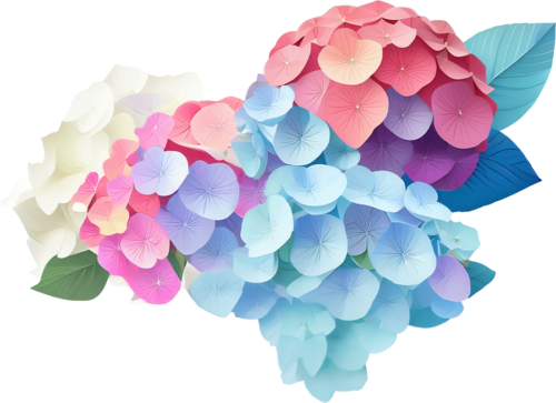 紫陽花